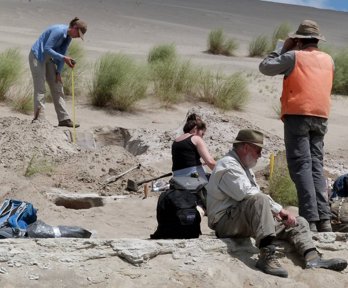 Four researchers taking measurements on a sand dune, surrounded by tools. One researcher is holding a measuring tape over a hole and another is standing and looking in the direction of the tape measure.  The other two researchers are sat on the ground. 