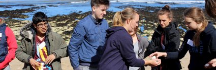 Six secondary school pupils standing on a beach inspecting pebbles. 