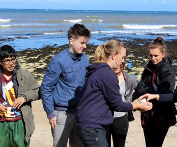 Six secondary school pupils standing on a beach inspecting pebbles. 
