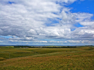 Thornton Moor