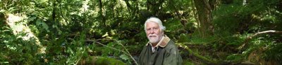 Robin Hanbury-Tenison in temperate rainforest in Cornwall