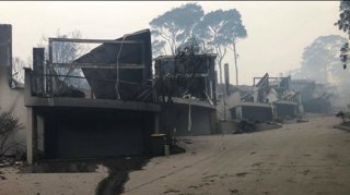 A residential street that has been caught in the wildfires. The houses are burnt down and covered in ash, as is the road. Trees still stand in the background