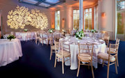 Round dinner tables setup in the Education Centre with a floral light projection on the wall.