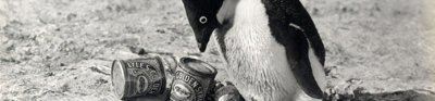 A black and white photo of a penguin standing on rocks next to cans of Lyle's Golden Syrup.