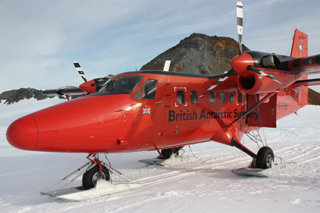 BAS red plane