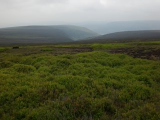 Moor at Bleaklow