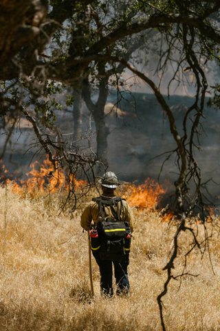 Fighfighter With Hose Extinguishing Fire