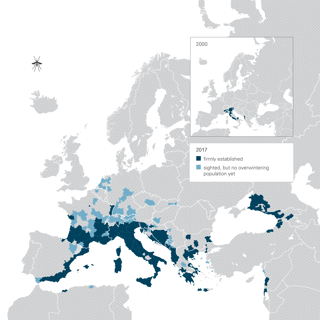 Map showing vector-borne diseases