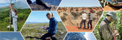 Decorative collage of fieldwork photos for the cover of the Explore 2024 programme.