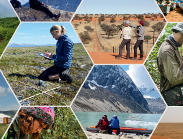 Decorative collage of fieldwork photos for the cover of the Explore 2024 programme.