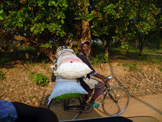 Carrying charcoal outside Savane, Sofala province, Mozambique