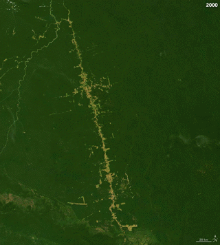 Deforestation June 4, 2000 - June 19, 2019. Copyright NASA 