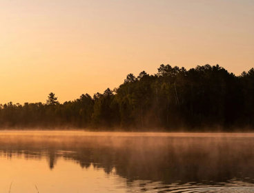 Sunset behind a lake, with trees on the bank of the lake. 