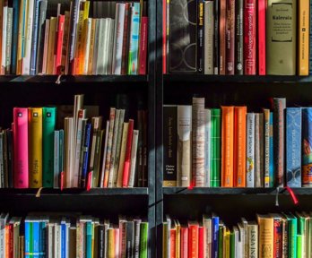 Books stacked on three vertical book shelves.