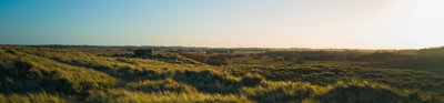 Sand dunes with grass growth. 