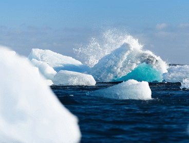 Ice bergs floating at sea