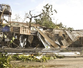Trees and a building blown over during a typhoon in the Phillipines
