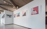 A wall of white panels displaying a photographic exhibition in a modern pavilion.