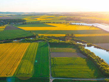 Aerial view of agricultural fields with sun rays in background.