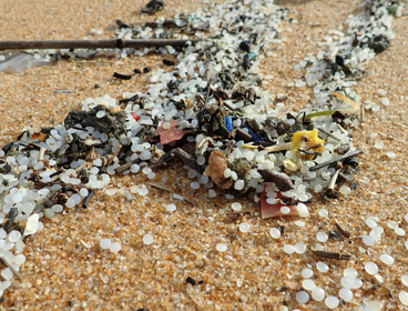 Plastic pollution washed up on a sandy beach