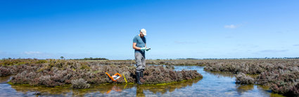 Scientist measuring environmental water quality parameters in a wetland.