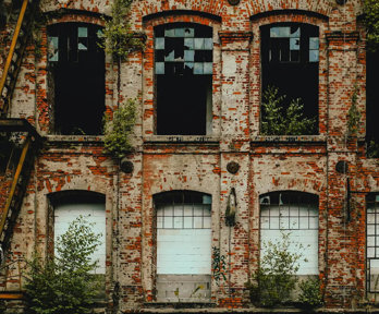 Old, abandoned, derelict building with broken or missing windows and plants growing up the walls and inside.