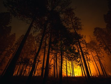 A wildfire at night