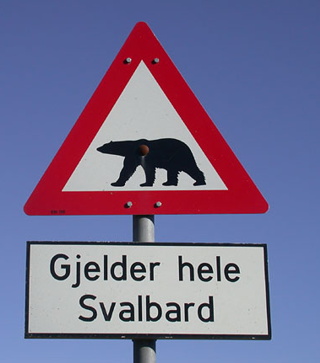 A triangular road sign showing a polar bear