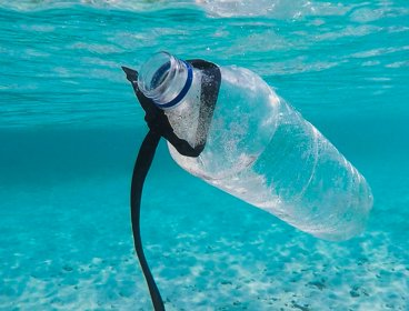 Water bottle floating in the sea