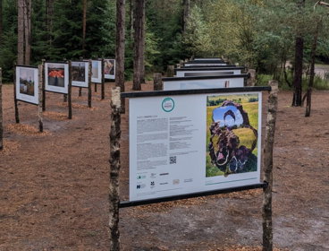 Earth Photo exhibition at Moors Valley. 