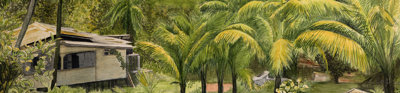 Watercolour art on paper of Hosororo Hill by Ann Gollifer.