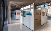 An arrangement of tall white panels displaying a photographic exhibition in a modern pavilion.