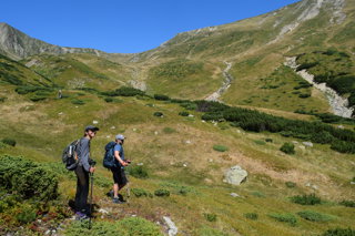 Two people using walking poles to walk up a vegetated mountain slope on a sunny day. 