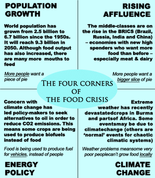 Food crisis infographic