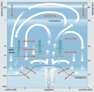 Schematic representation of the Brewer-Dobson circulation