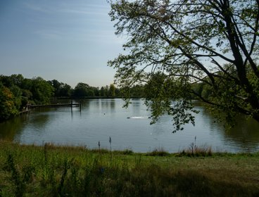 Hampstead Heath Ponds