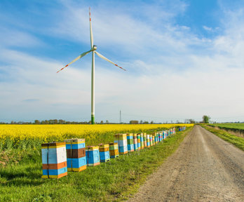 Windmill in a green field