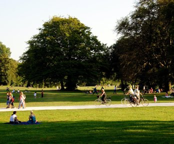 An area of parkland, showing people walking, sitting and cycling. It is a nice day and the sun is low in the sky which is casting long shadows from the trees.