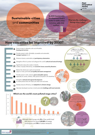 Sustainable cities infographic