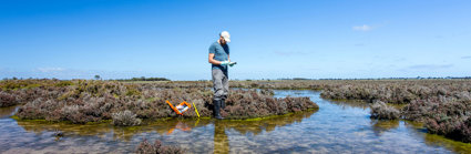 Scientist measuring environmental water quality parameters in a wetland.