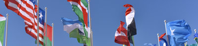 A variety of flags flying in the wind, set to a blue sky background