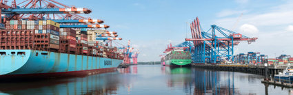 Ships with shipping containers, shown in port