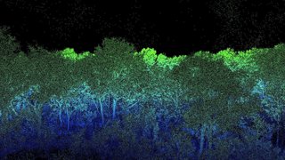 A digital image of a LiDAR scan showing a free canopy in gradients of dark blue and green.